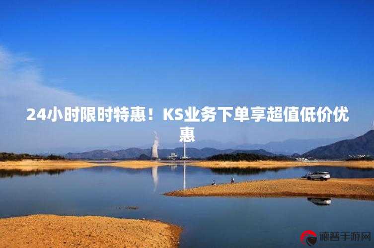 低价KS服务，掌握低价KS服务的秘籍，轻松玩转网络